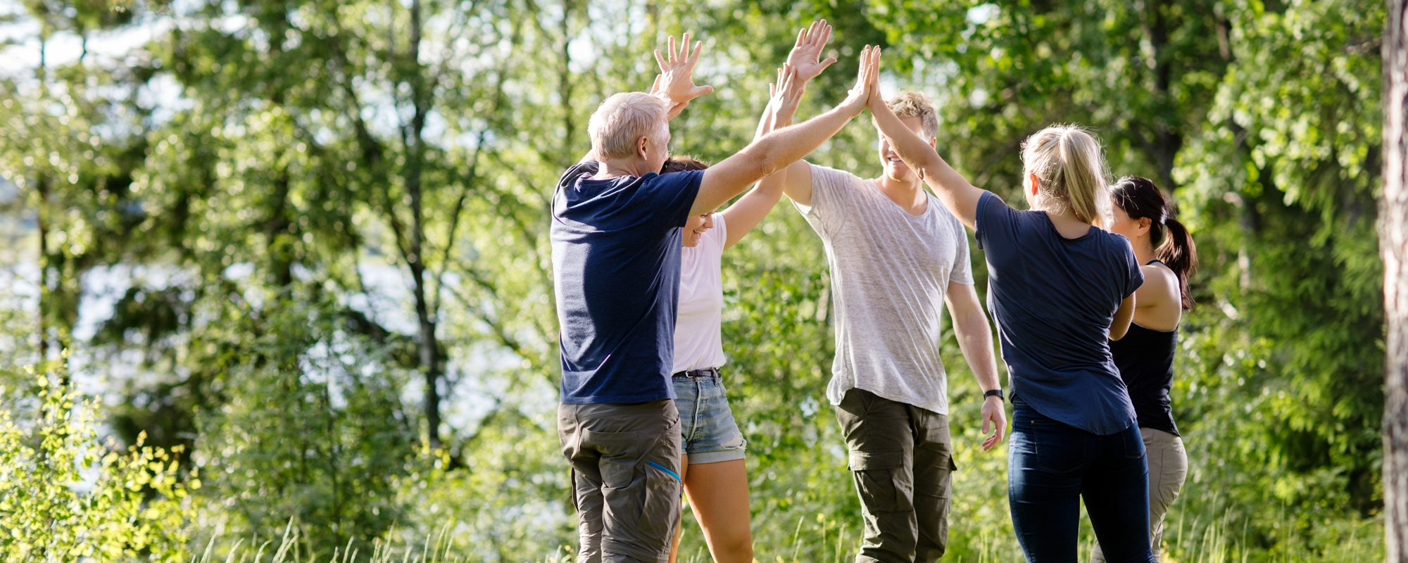 Teambuilding: Zwei Männer und drei Frauen stehen auf einer Wiese im Kreis und klatschen sich lachend gegenseitig ab, im Hintergrund dichte Laubbäume.