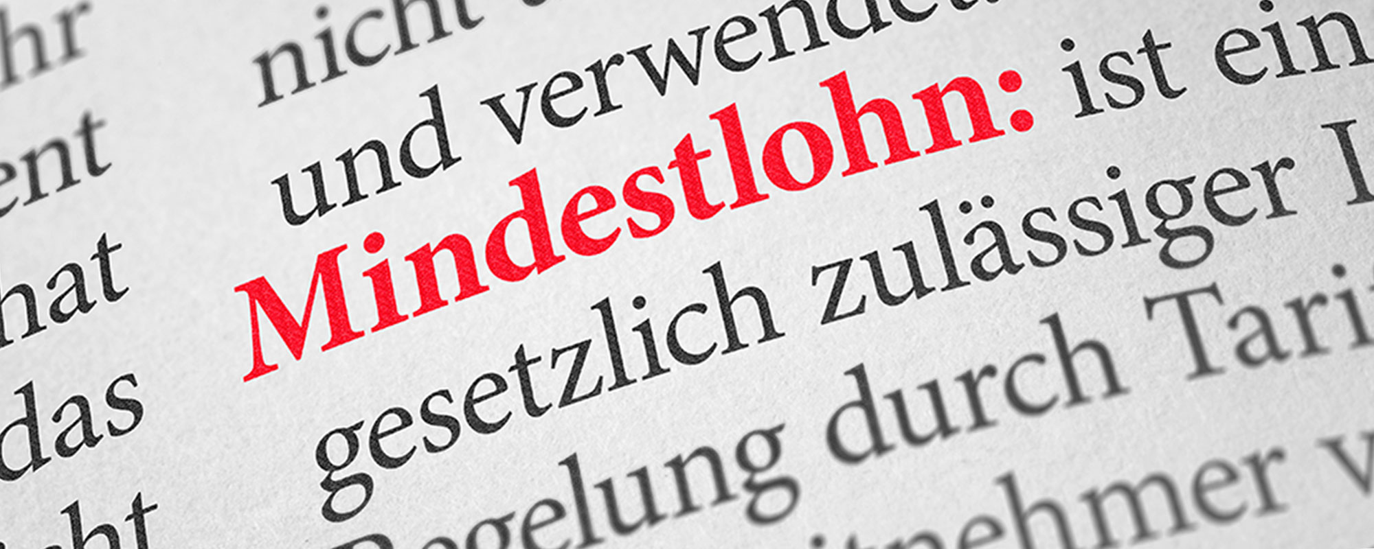 Aufnahme eines Wörterbuchs, in dem das Wort Mindestlohn in rot hervorgehoben wird.